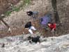 2007.03.25-12.34.11.jpg