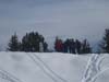 2008.01.19-13.26.32p.jpg