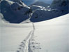 2008.03.22-09.53.46r.jpg