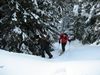 2009.01.25-09.47.14.jpg
