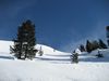2009.01.25-10.33.24.jpg