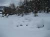 2009.12.07-11.00.06.jpg