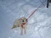 2009.12.26-09.11.06k.jpg