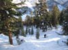 2009.12.28-09.43.32j.jpg