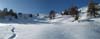2010.01.22-11.05.34_stitch.jpg