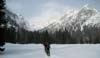 2010.03.09-08.31.10_stitch.jpg