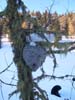 2010.03.13-08.59.06g.jpg