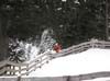 2010.12.26-13.33.22-1.jpg