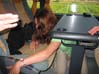 2006.06.10-06.18.32e.jpg
