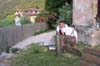 2013.06.22-06.00.40m.jpg